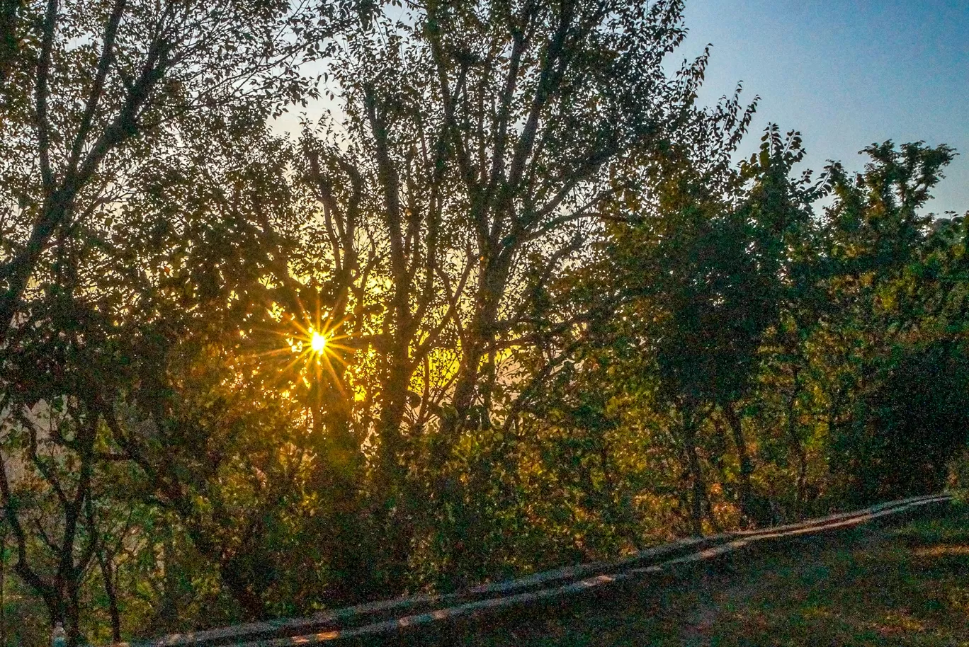 Photo of Road trip to Chakrata and Mori By DBATG 