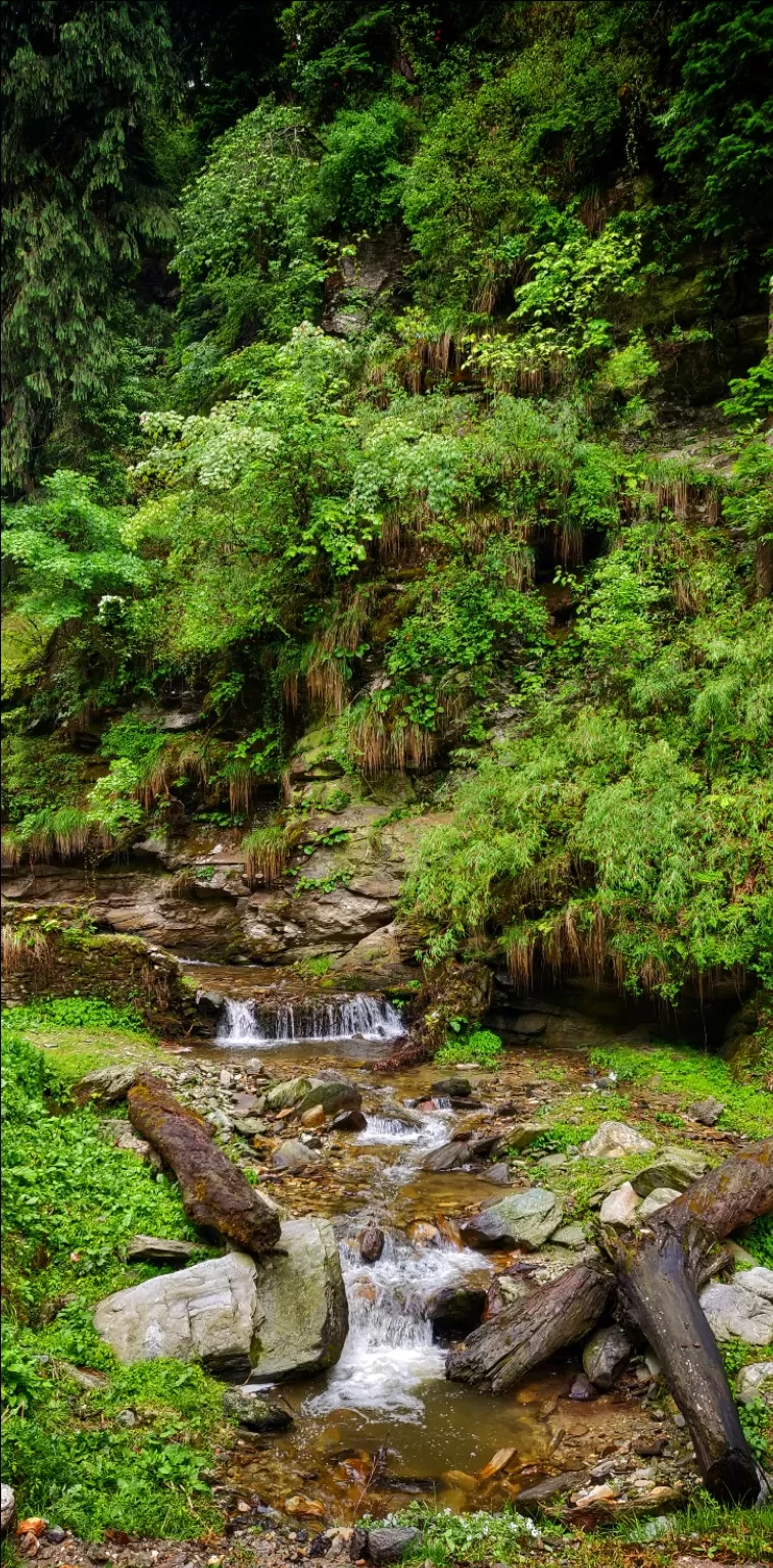 Photo of Daranghati Wildlife Sanctuary By DBATG 