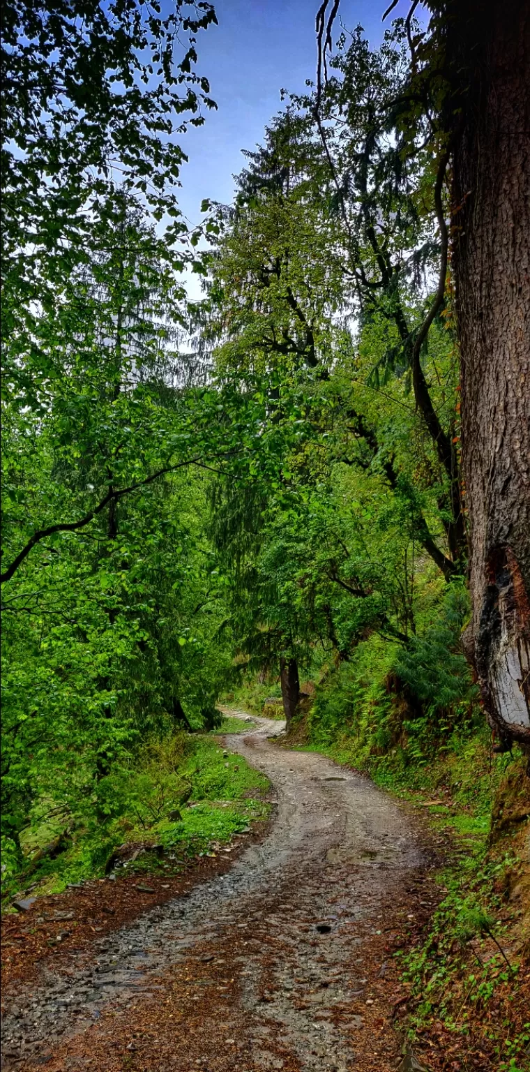 Photo of Daranghati Wildlife Sanctuary By DBATG 