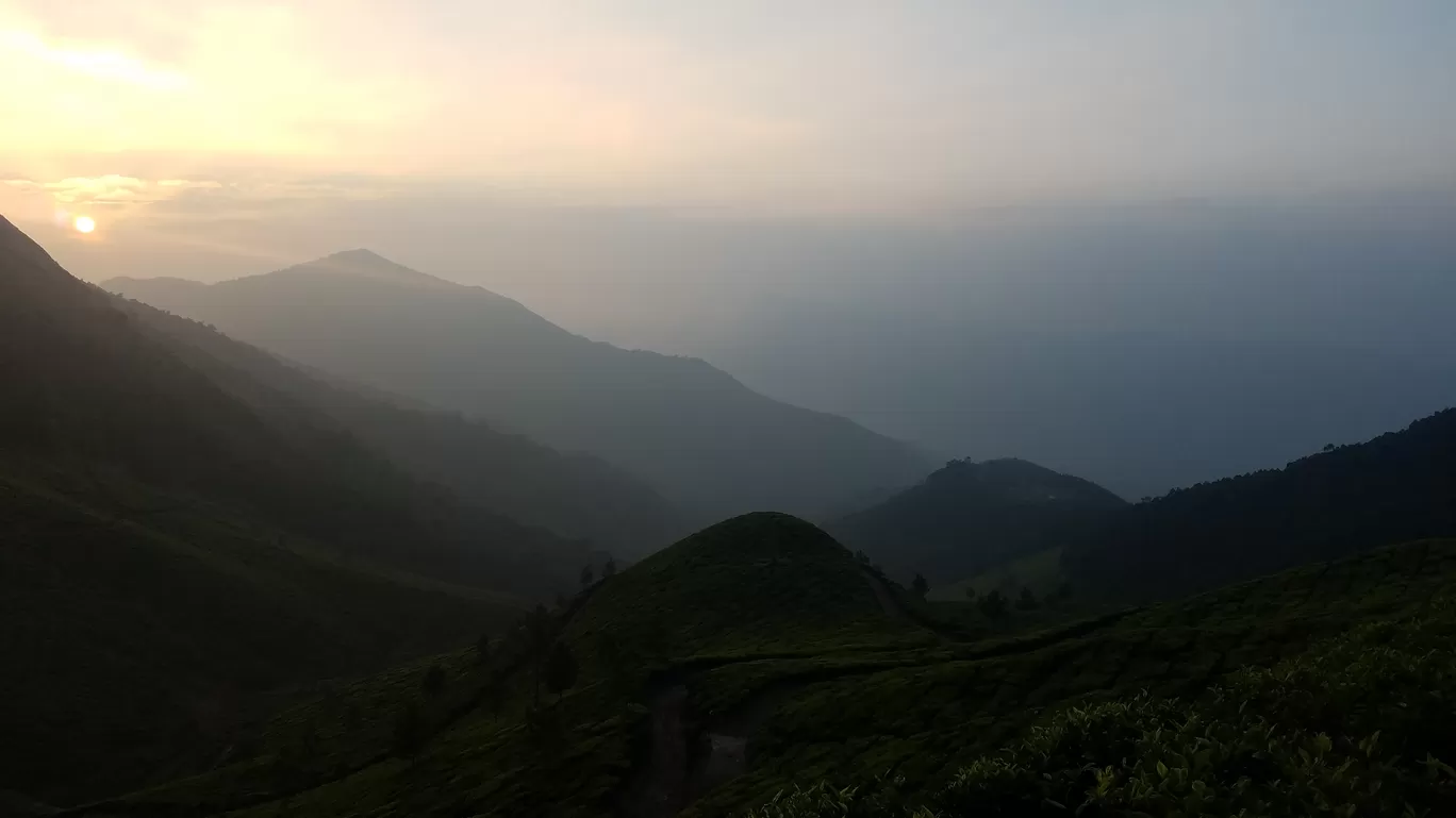 Photo of Suryanelli By John Q