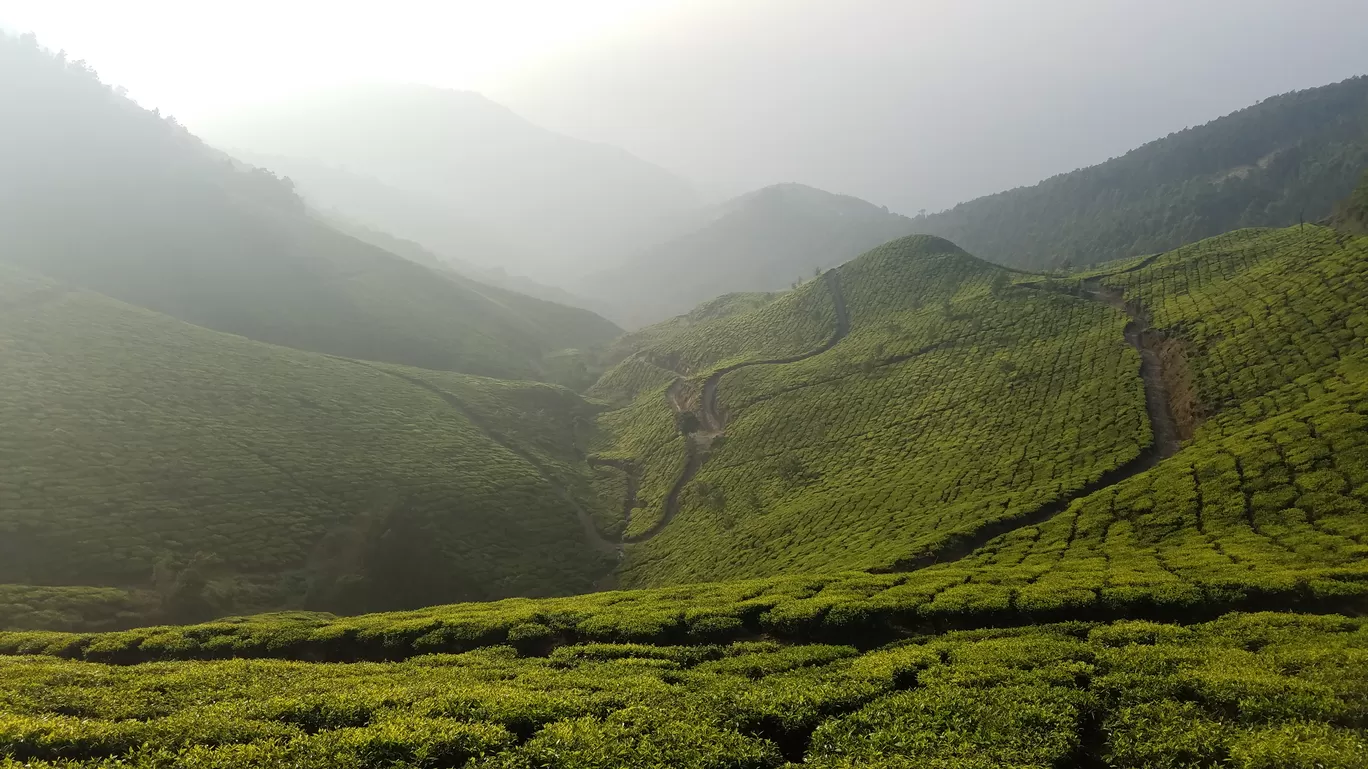 Photo of Suryanelli By John Q