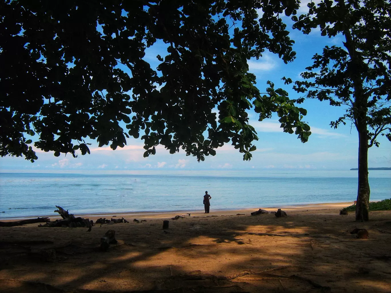 Photo of Andaman and Nicobar Islands By Amrita Das