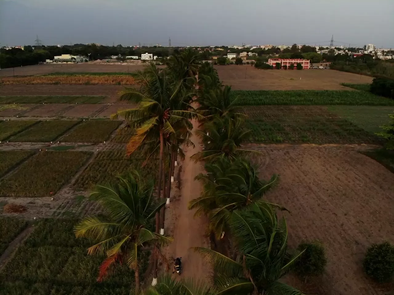 Photo of Kerala By Sayak Das