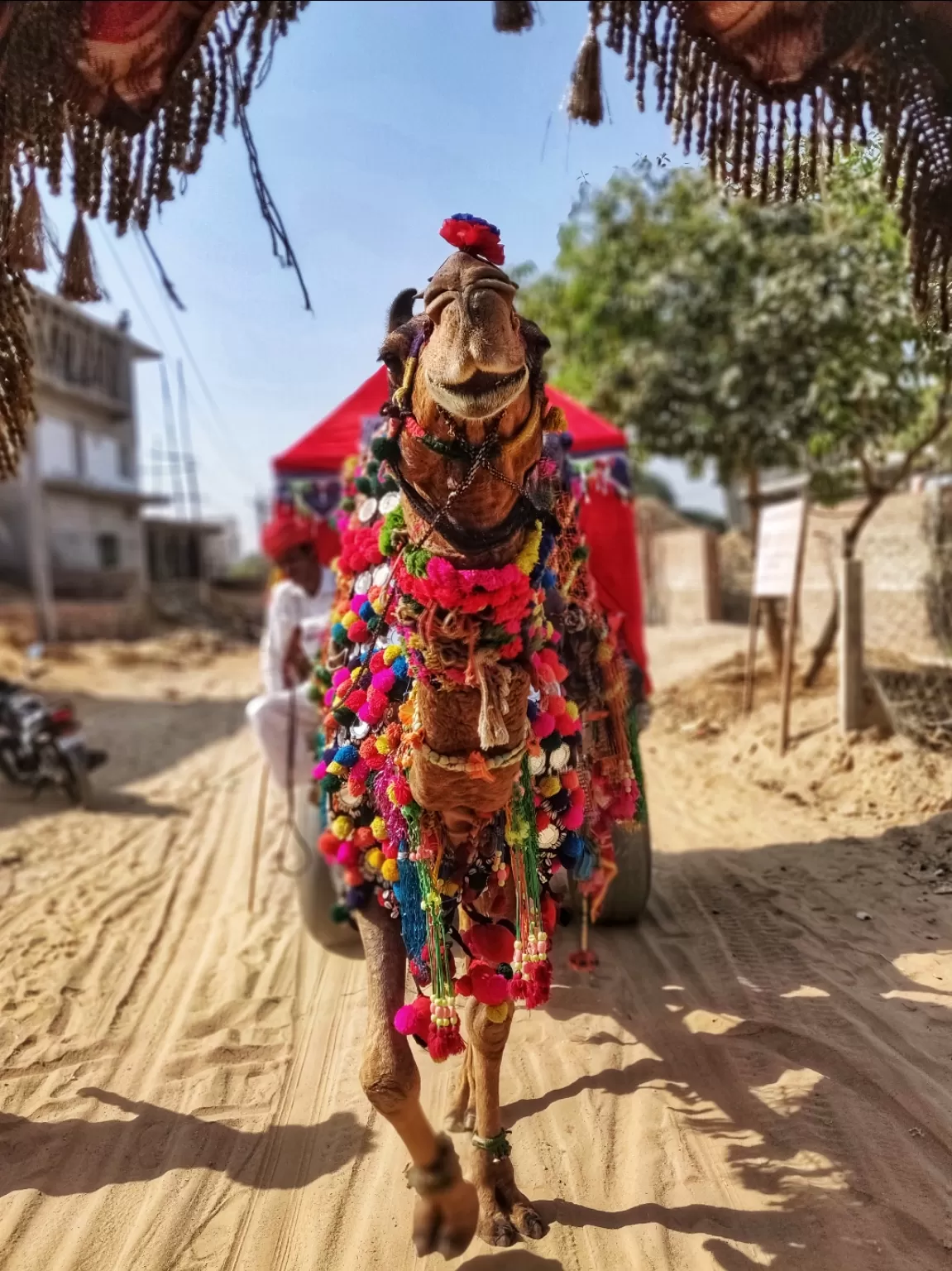 Photo of Rajasthan By Neha Manore