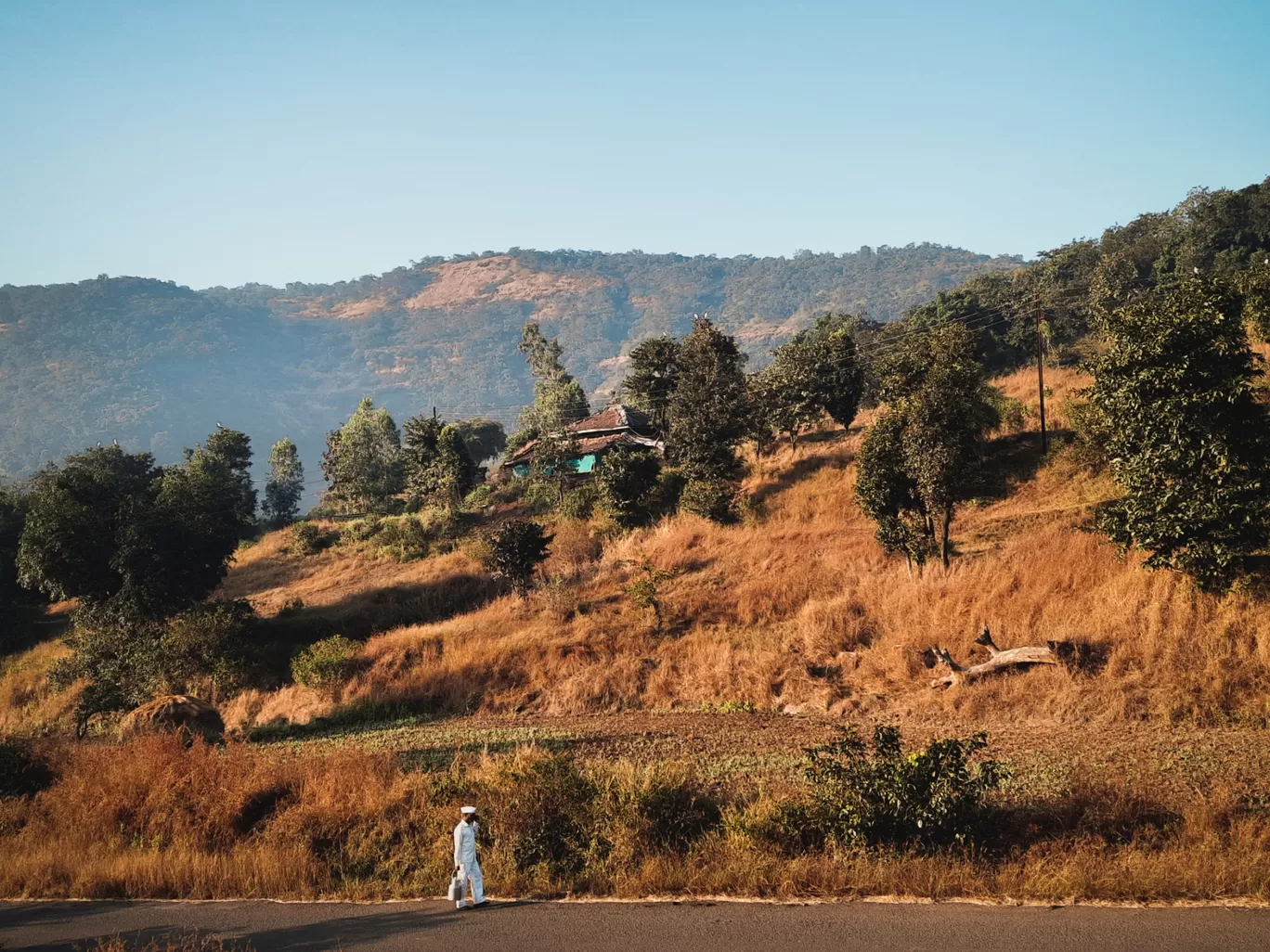 Photo of Bhandardara Dam By Nikhil Mahamine