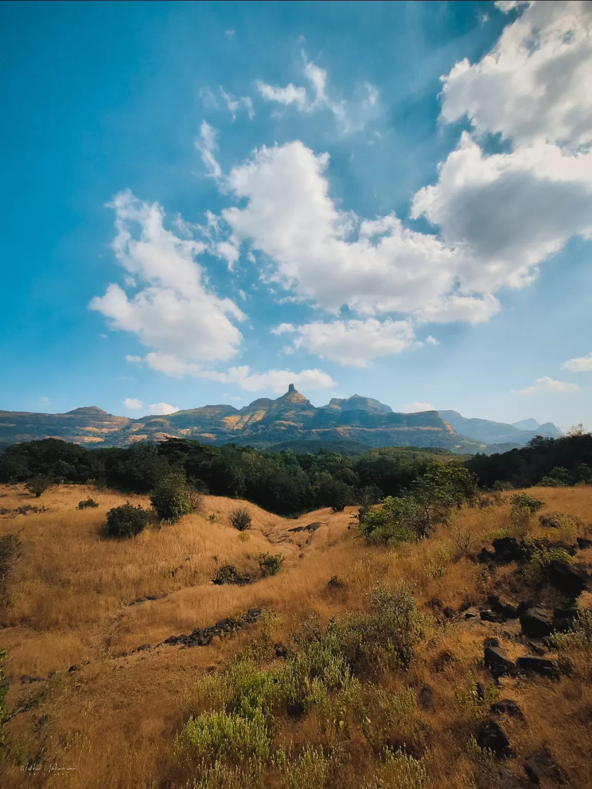 Photo of Bhandardara Dam By Nikhil Mahamine