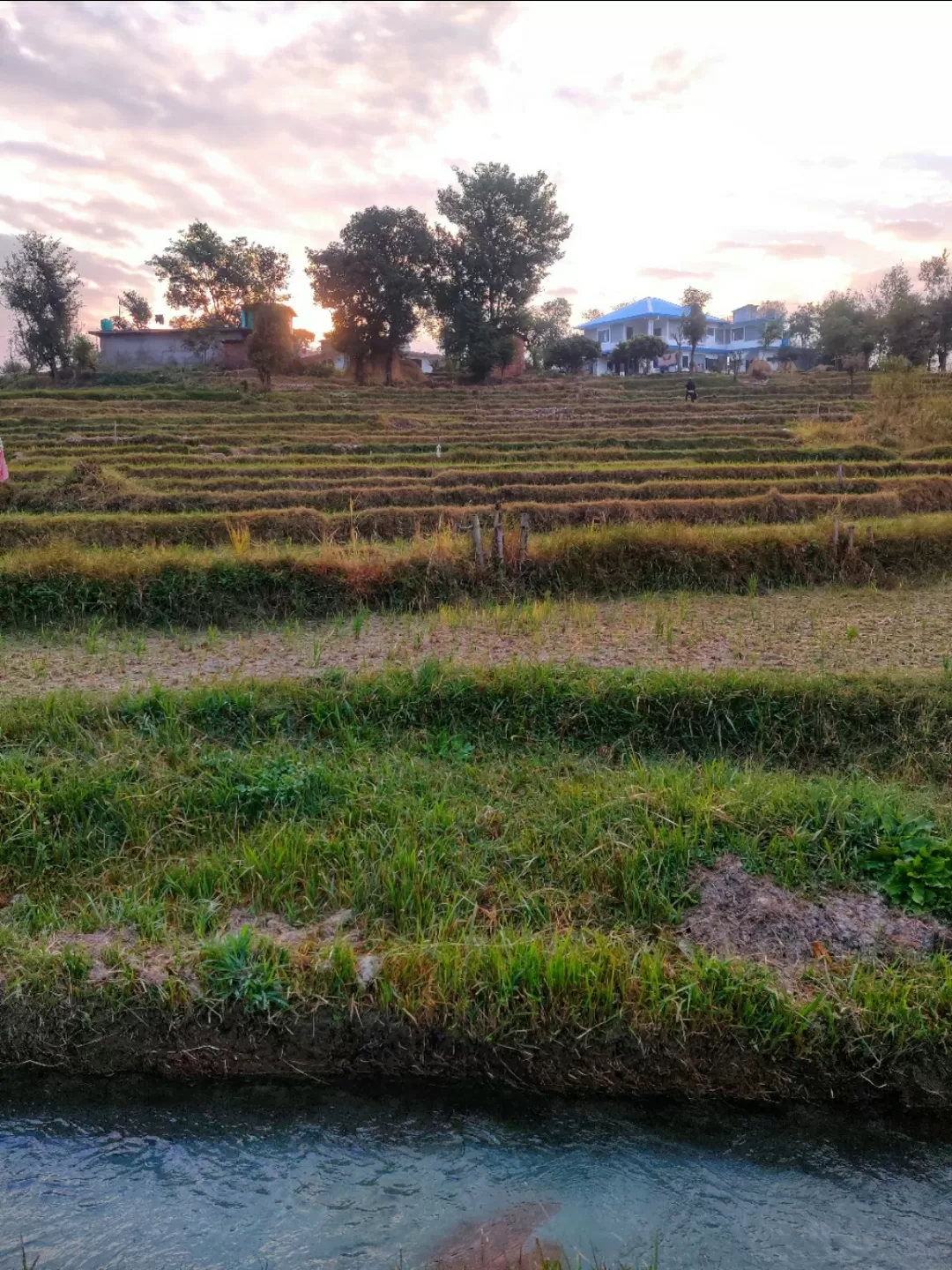 Photo of Palampur By Sameer Wadhwani