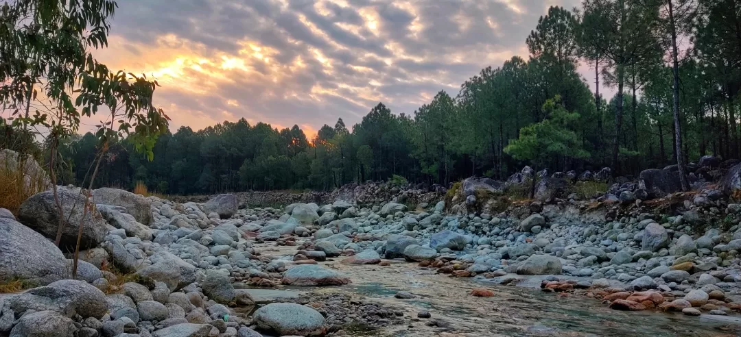 Photo of Palampur By Sameer Wadhwani