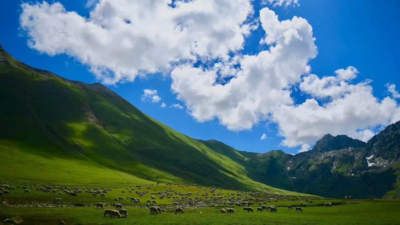 Photo of New Zealand By Kinjal Gala