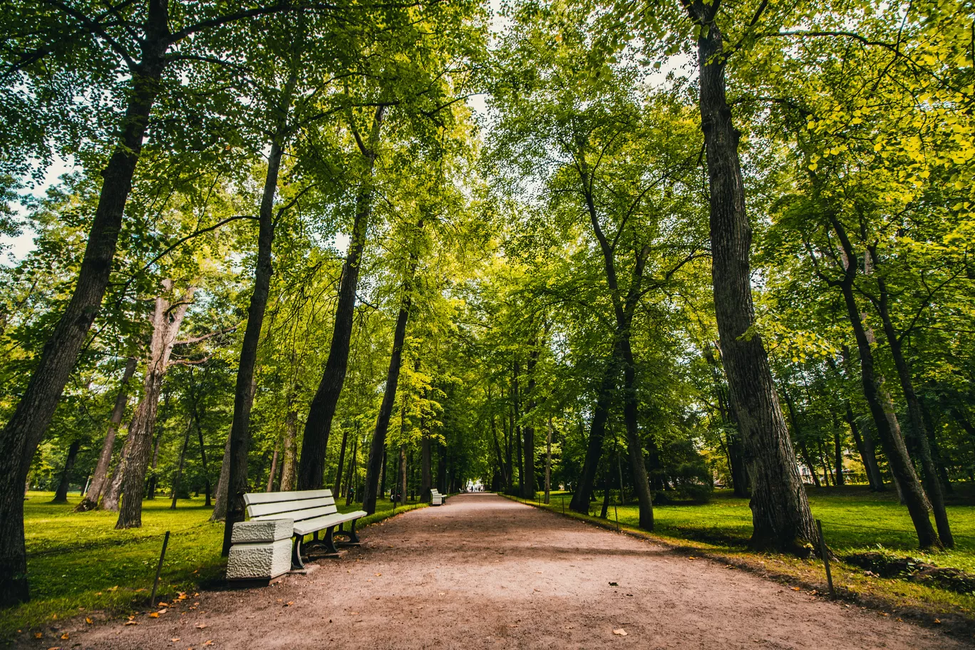 Photo of Saint Petersburg By Amritraj Laishram