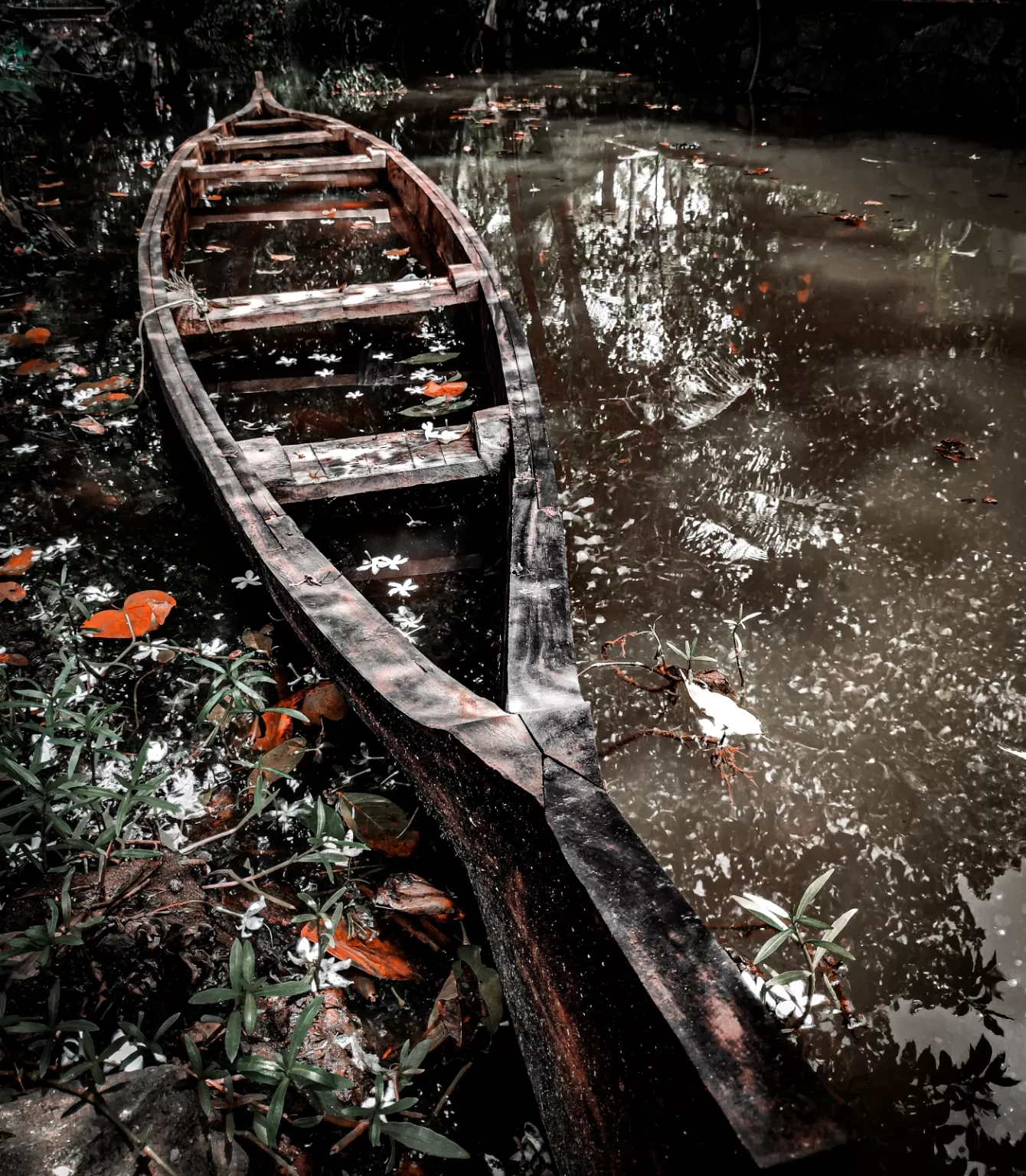 Photo of Kumarakom By Amritraj Laishram