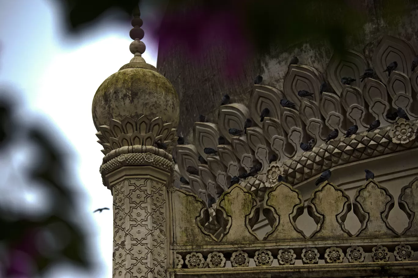 Photo of Hyderabad By Fasi Ziaee