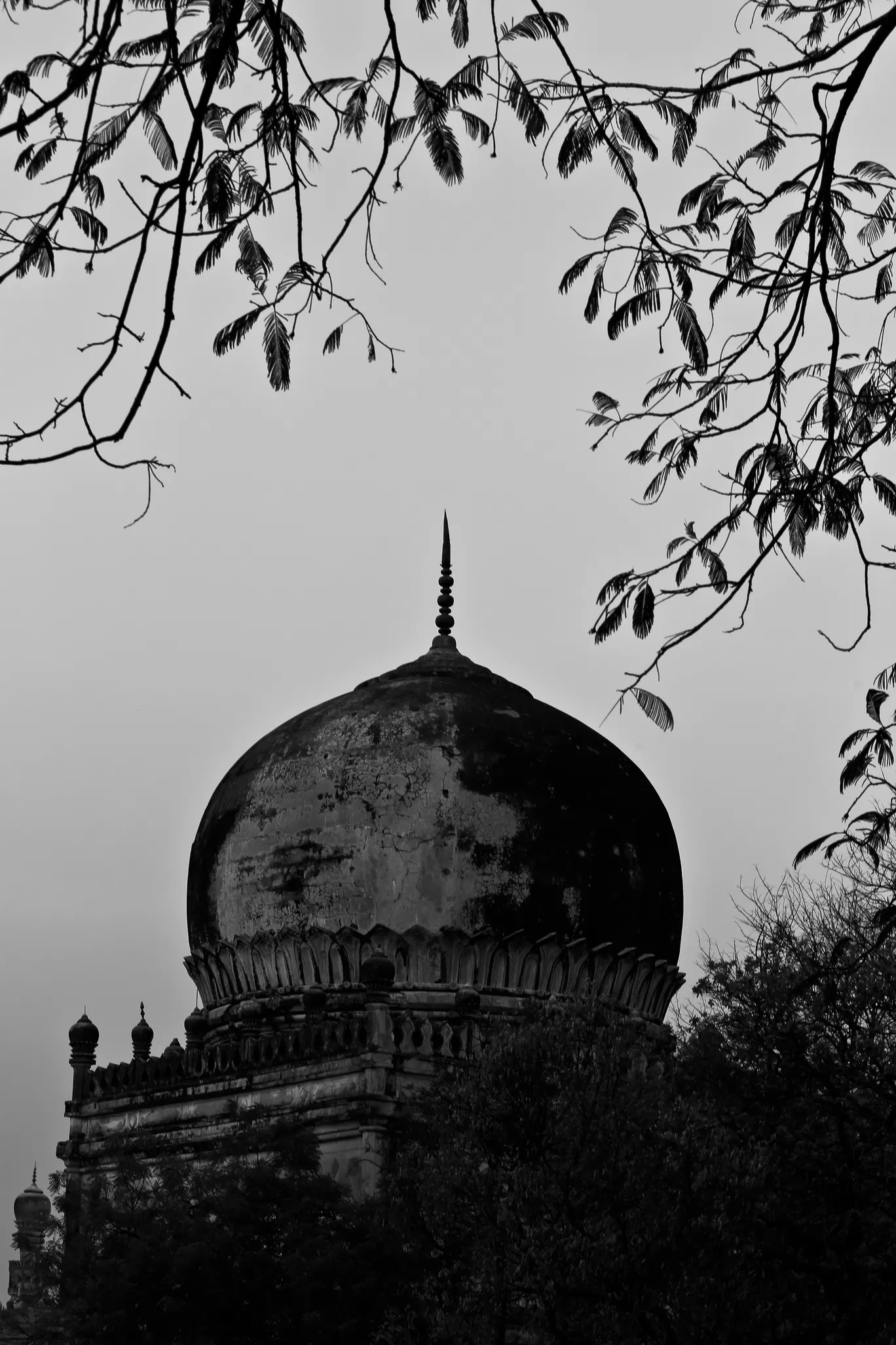 Photo of Hyderabad By Fasi Ziaee