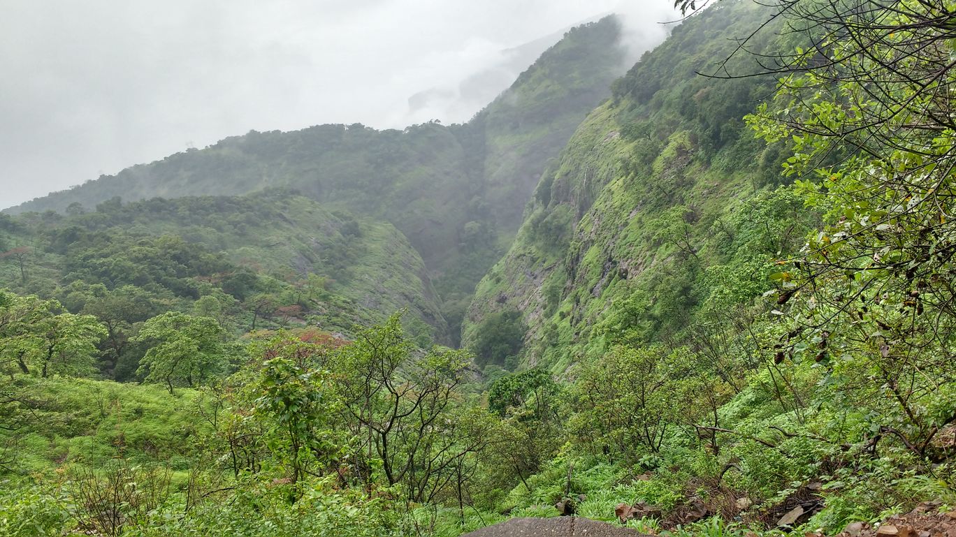 Photo of Glimpse of Tamhini Ghat By Amol Sonawane