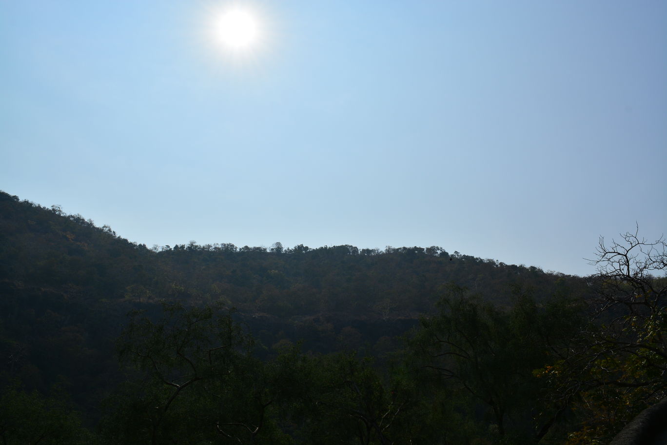 Photo of Amazing Ajanta Caves By Mahesh Maddala
