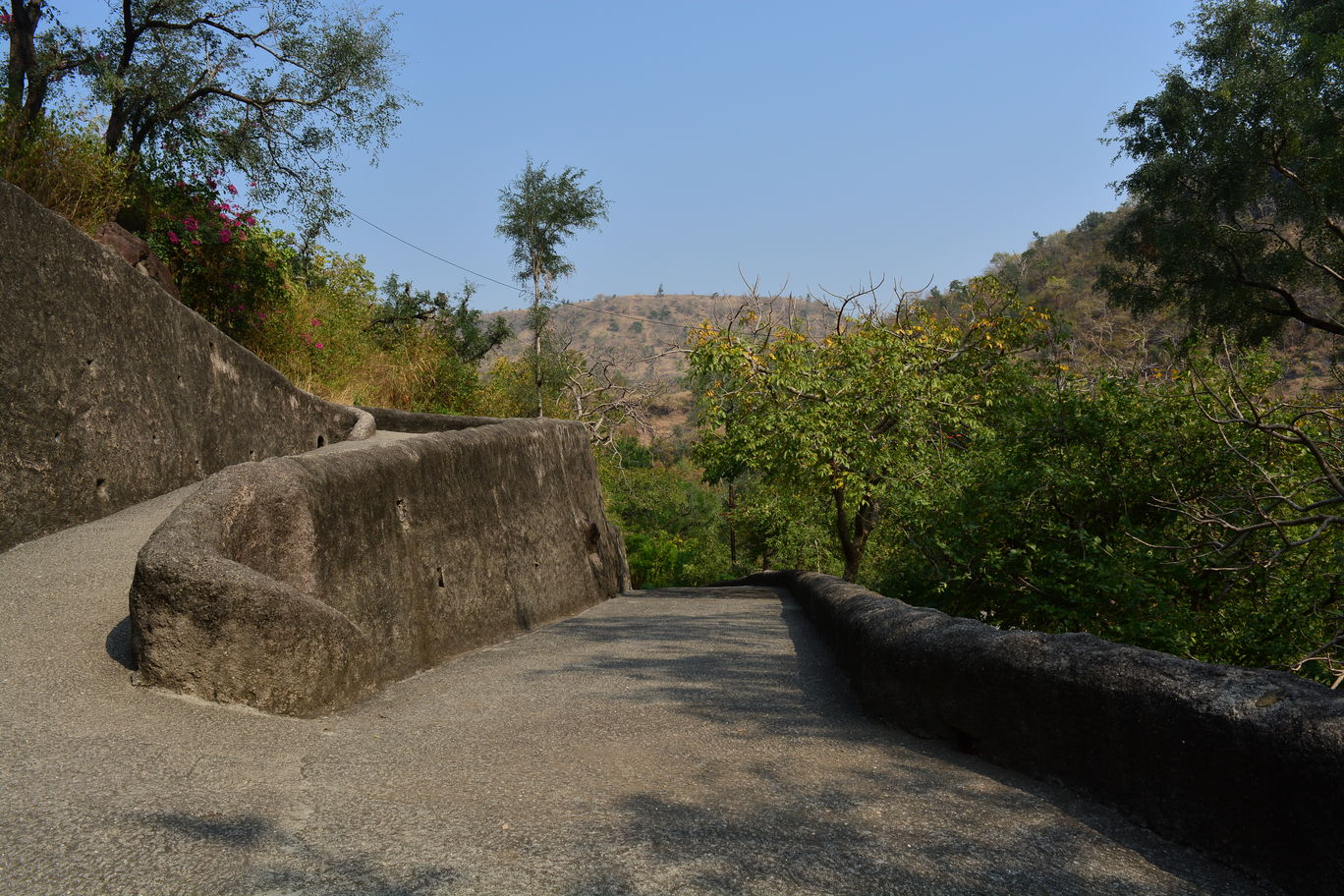 Photo of Amazing Ajanta Caves By Mahesh Maddala