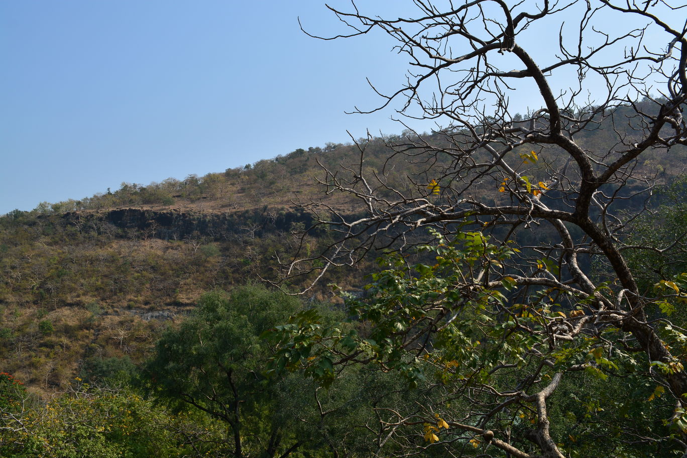 Photo of Amazing Ajanta Caves By Mahesh Maddala