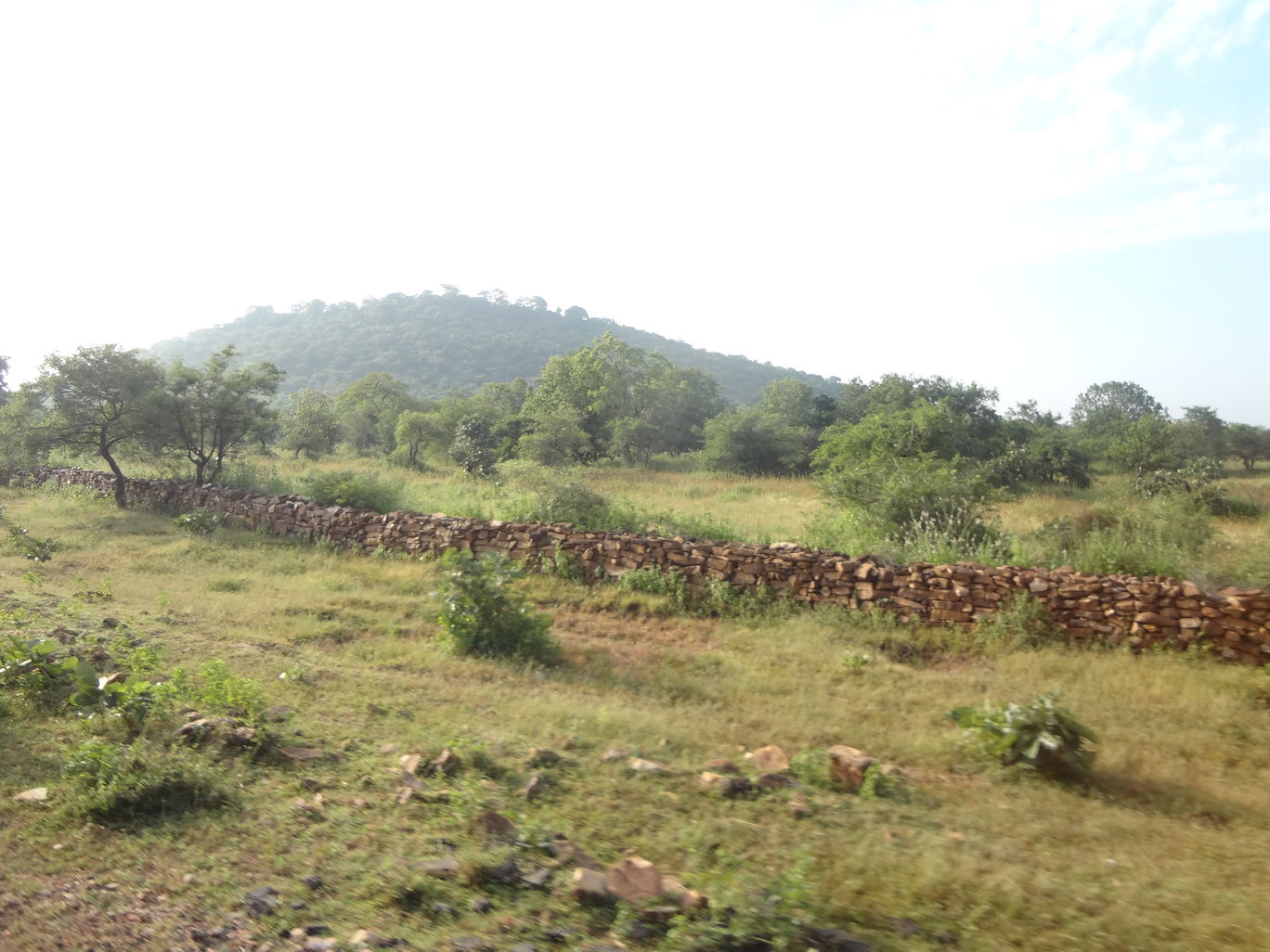 Photo of Chanderi - A town of historical importance By Mahesh Maddala