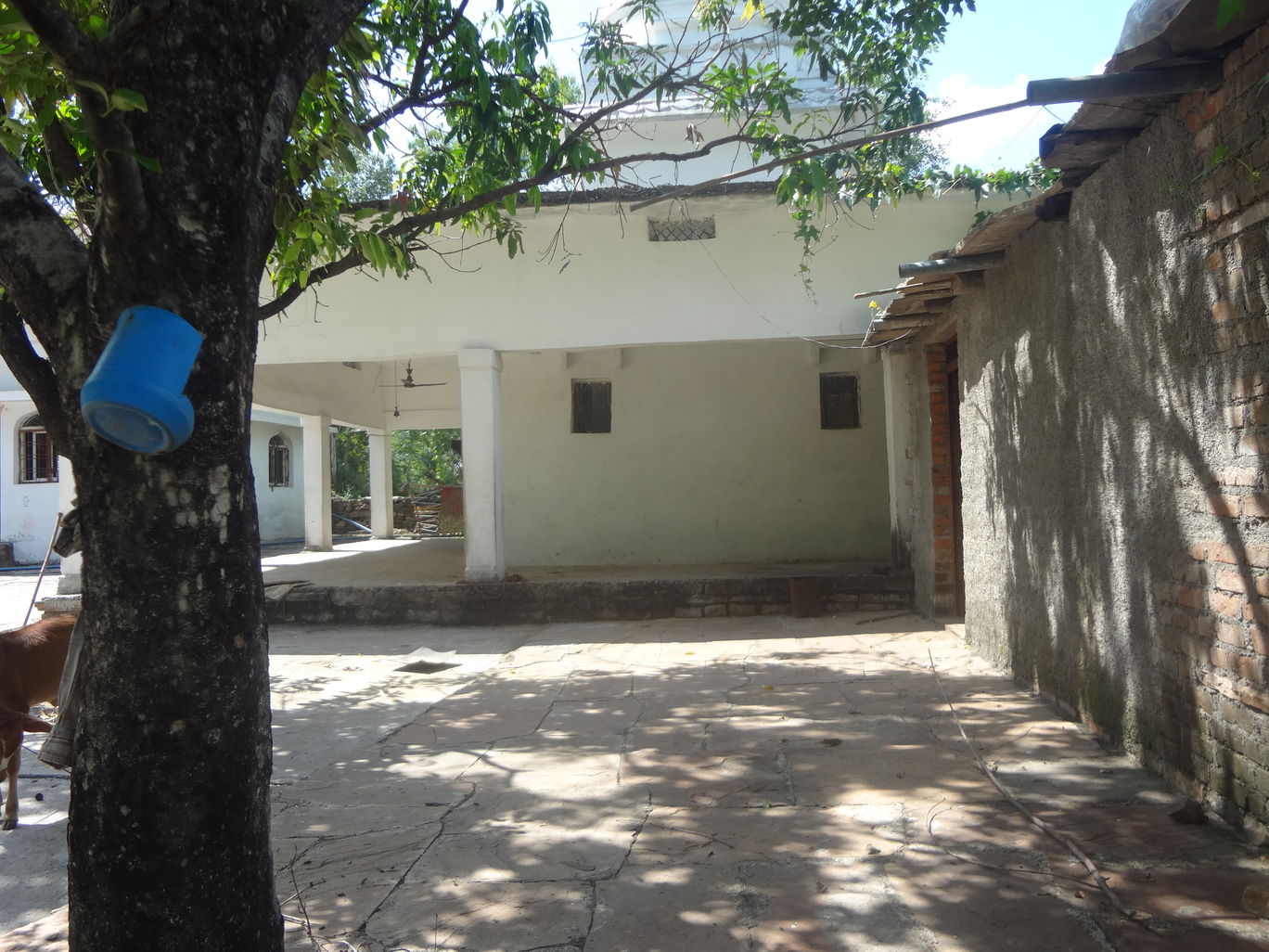 Photo of Chanderi - A town of historical importance By Mahesh Maddala