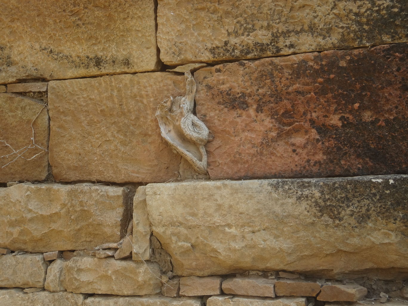 Photo of Chanderi - A town of historical importance By Mahesh Maddala