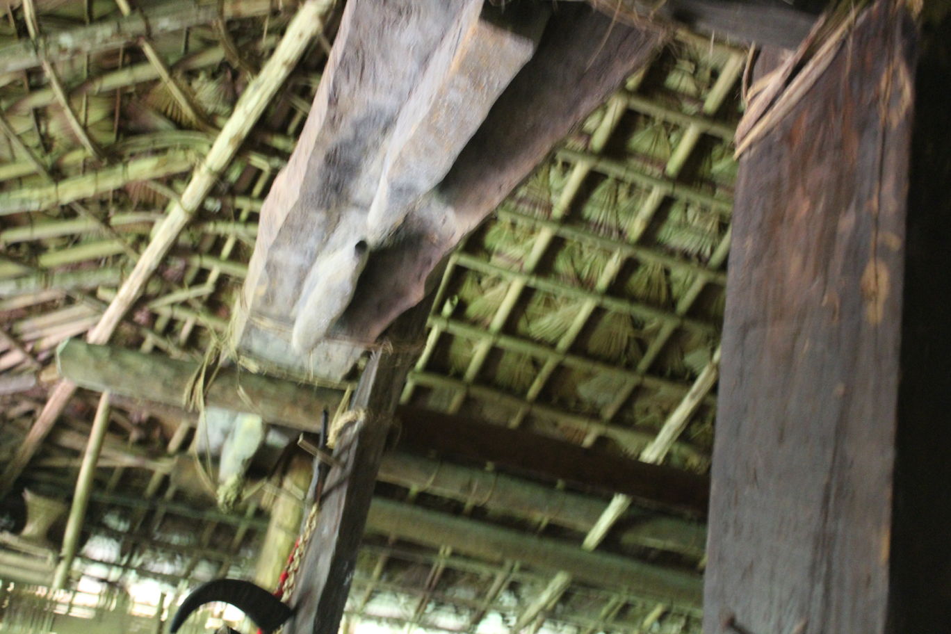 Photo of Indira Gandhi Rashtriya Manav Sangrahalaya, Bhopal By Mahesh Maddala