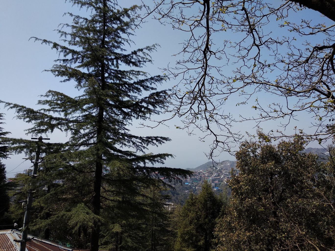 Photo of Views from Lal Tibba, Mussoorie By Mahesh Maddala