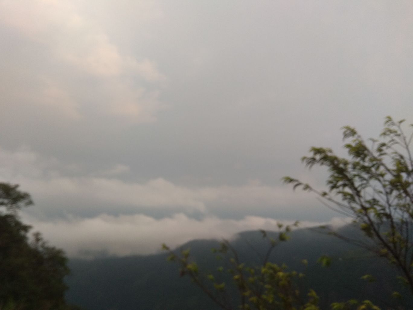 Photo of A Roadtrip to Dawki: A hidden paradise and a friendly international border By Mahesh Maddala