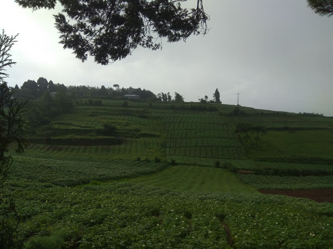 Photo of A Roadtrip to Dawki: A hidden paradise and a friendly international border By Mahesh Maddala