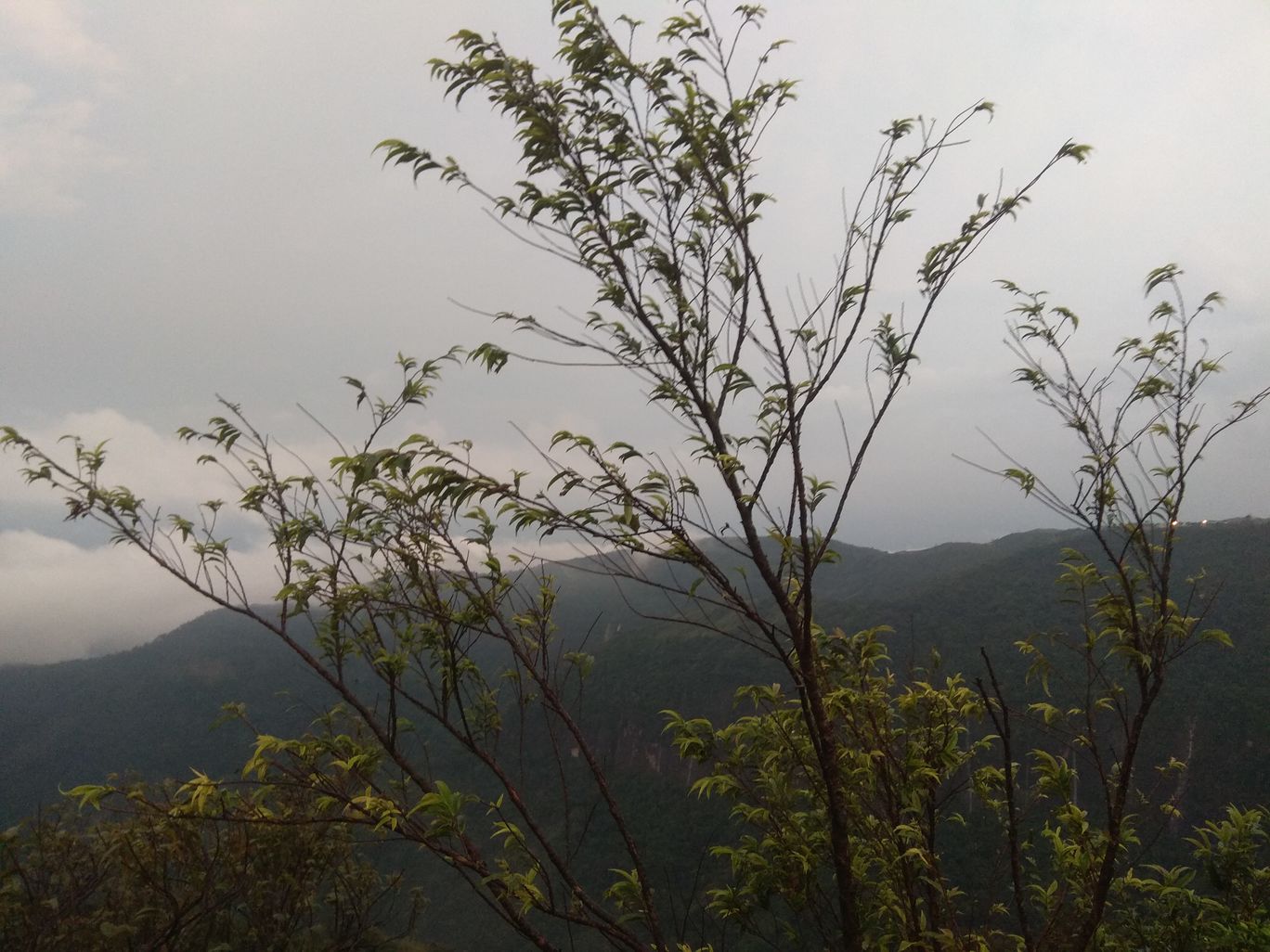 Photo of A Roadtrip to Dawki: A hidden paradise and a friendly international border By Mahesh Maddala