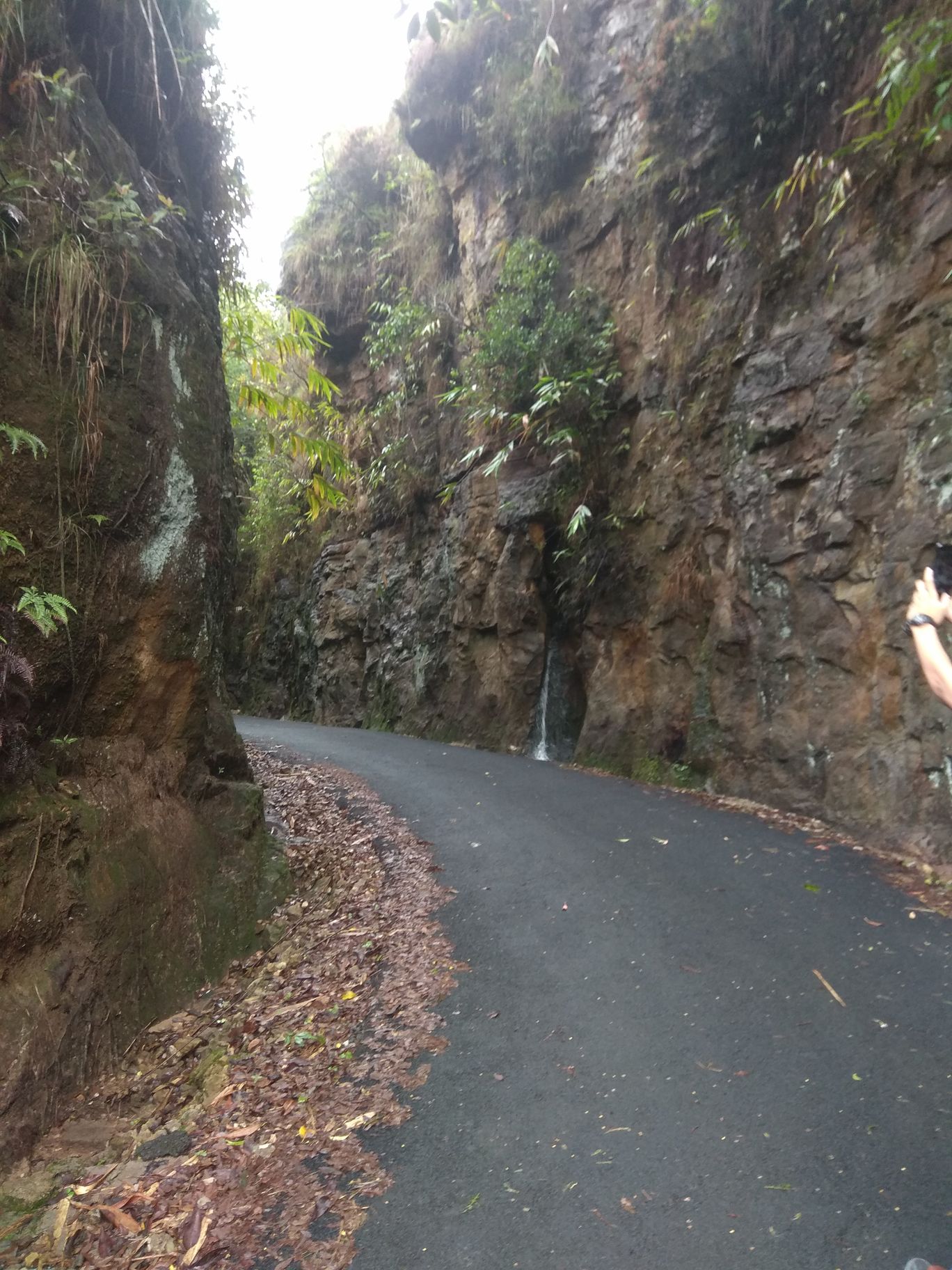 Photo of A Roadtrip to Dawki: A hidden paradise and a friendly international border By Mahesh Maddala
