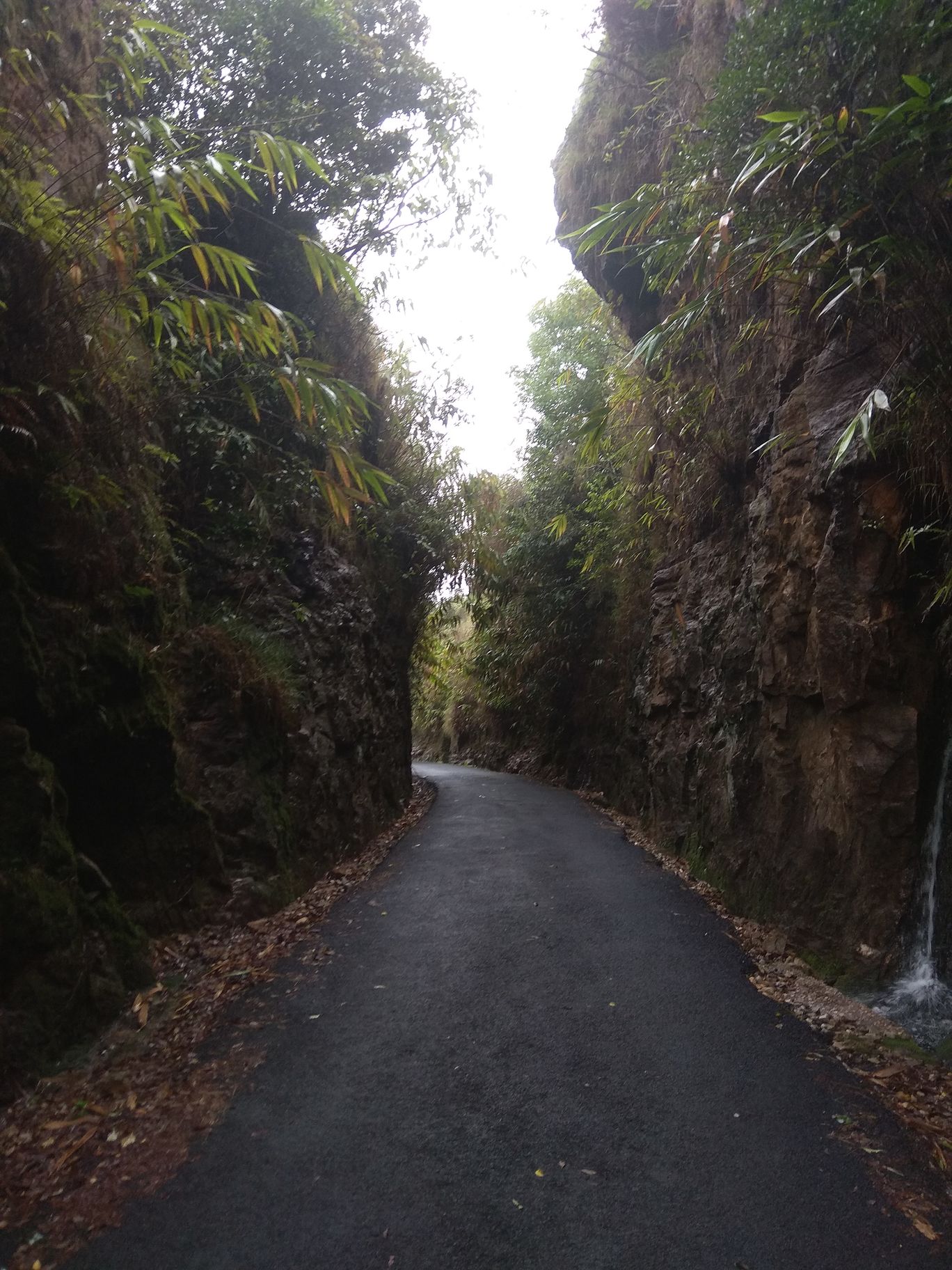 Photo of A Roadtrip to Dawki: A hidden paradise and a friendly international border By Mahesh Maddala