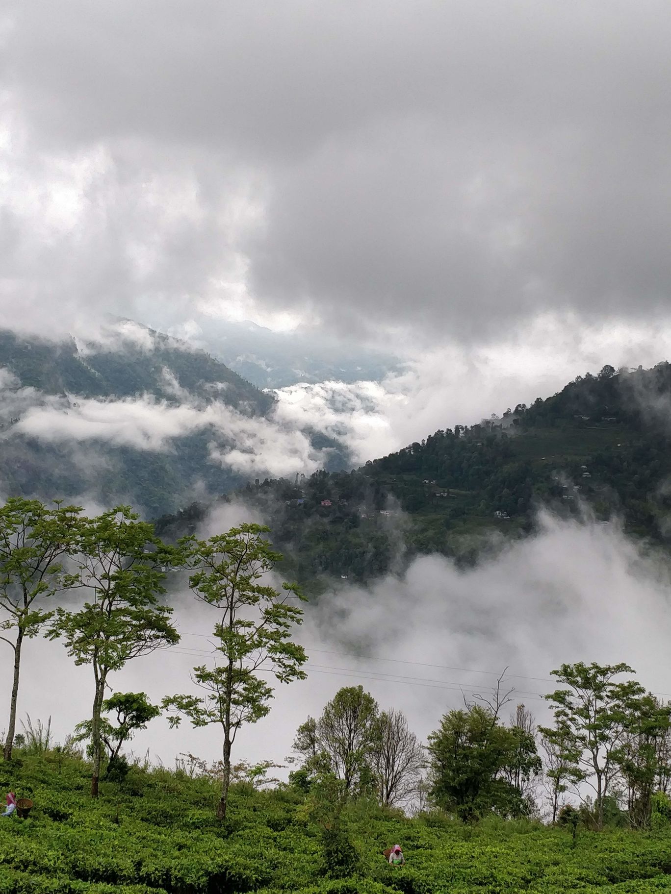 Photo of Northeast Phase 2 - Clouds of Kalimpong By Mahesh Maddala