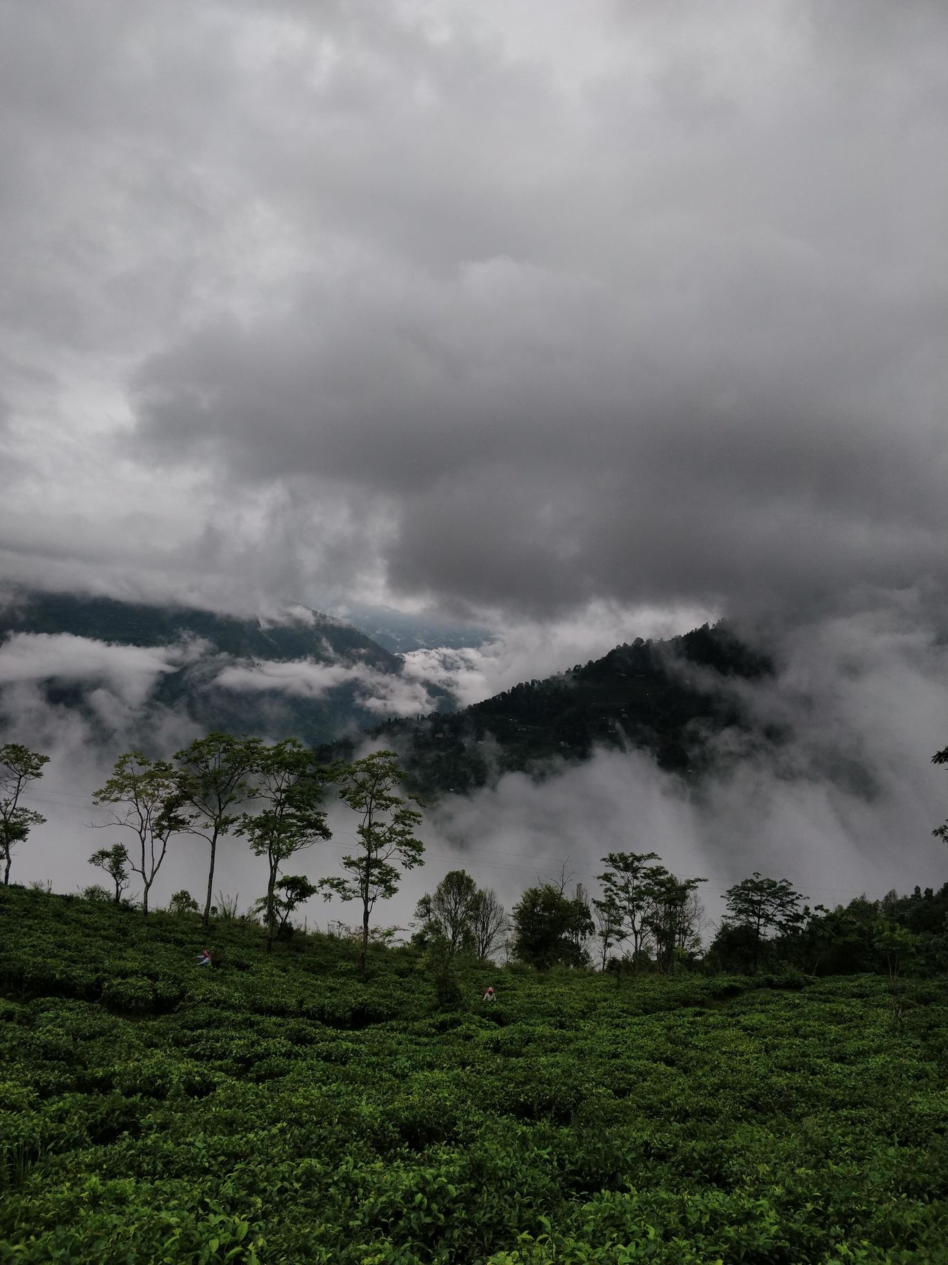 Photo of Northeast Phase 2 - Clouds of Kalimpong By Mahesh Maddala