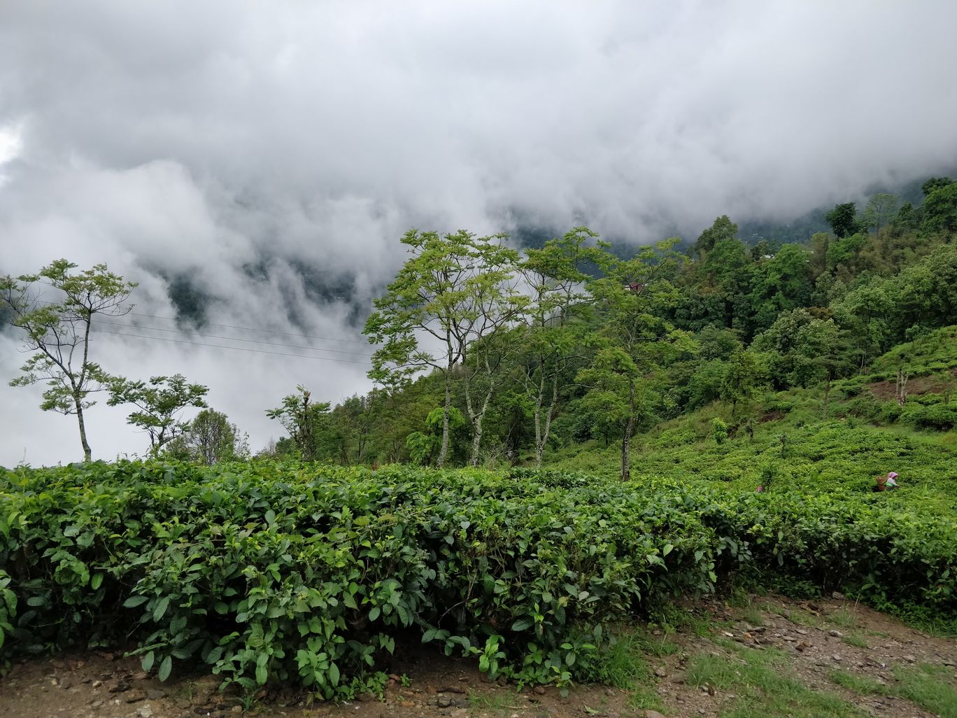 Photo of Northeast Phase 2 - Clouds of Kalimpong By Mahesh Maddala