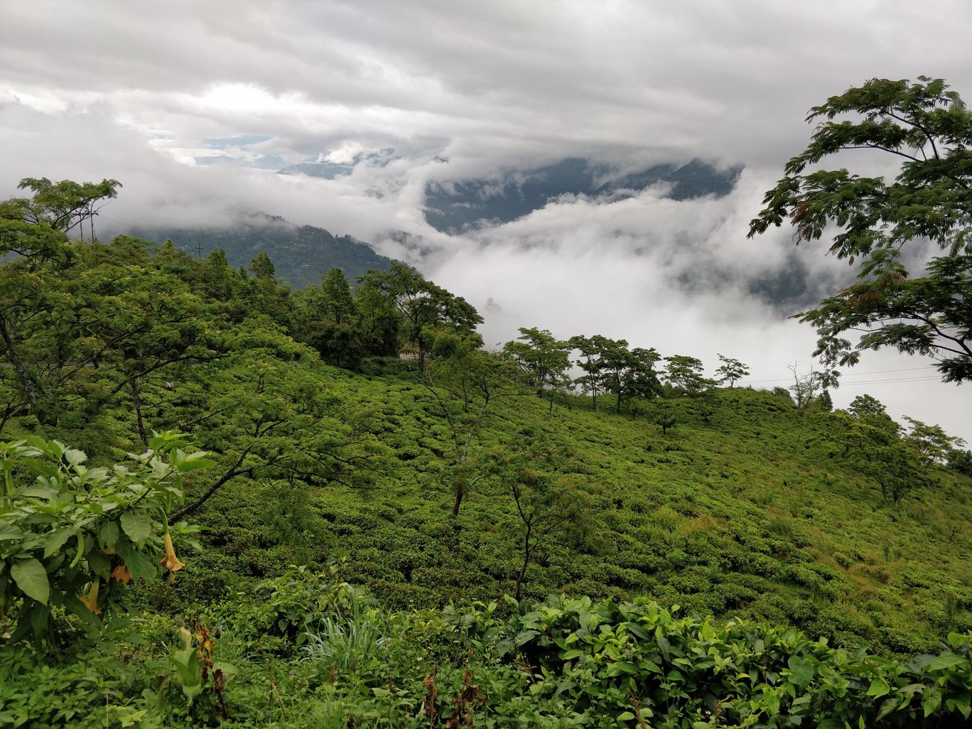 Photo of Northeast Phase 2 - Clouds of Kalimpong By Mahesh Maddala