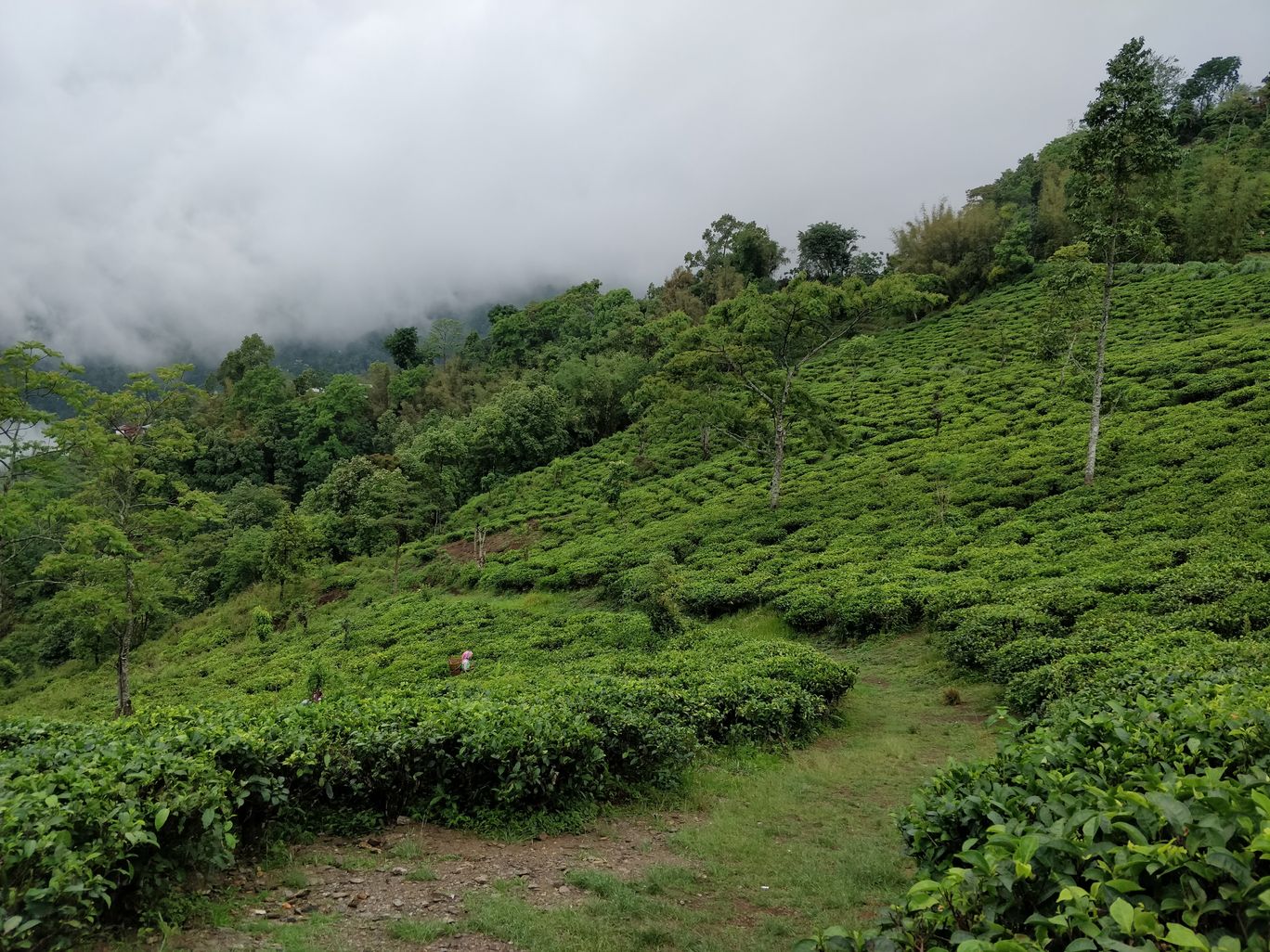 Photo of Northeast Phase 2 - Clouds of Kalimpong By Mahesh Maddala