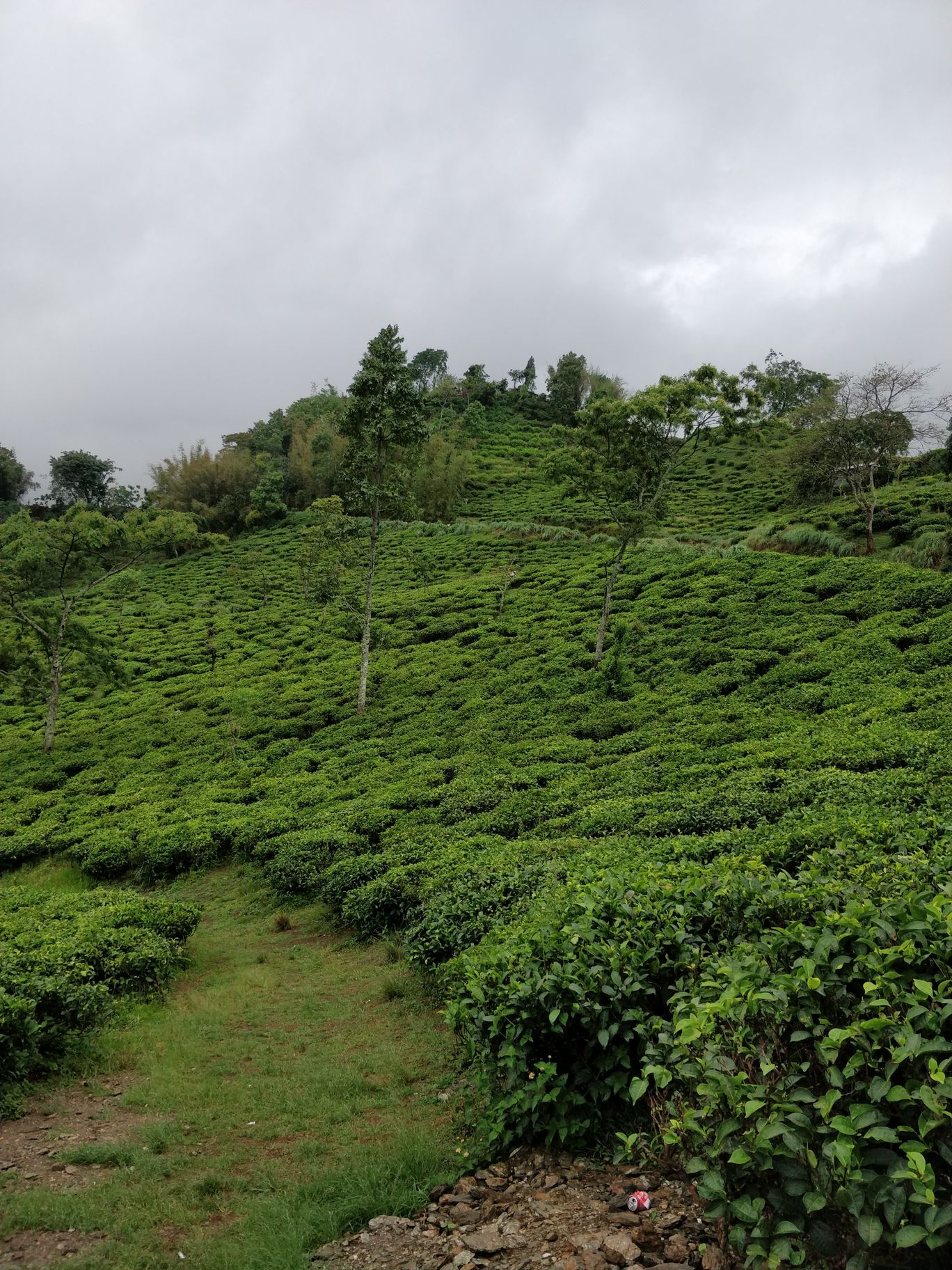 Photo of Northeast Phase 2 - Clouds of Kalimpong By Mahesh Maddala