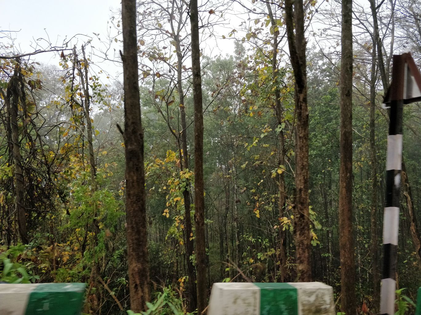 Photo of Northeast Phase 2 - Clouds of Kalimpong By Mahesh Maddala