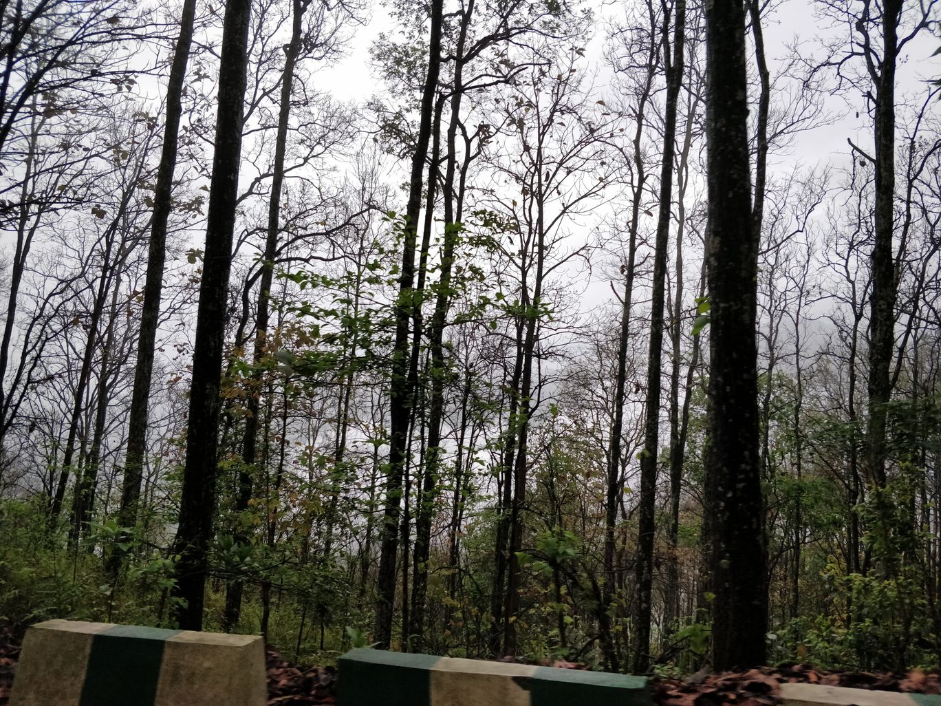 Photo of Northeast Phase 2 - Clouds of Kalimpong By Mahesh Maddala