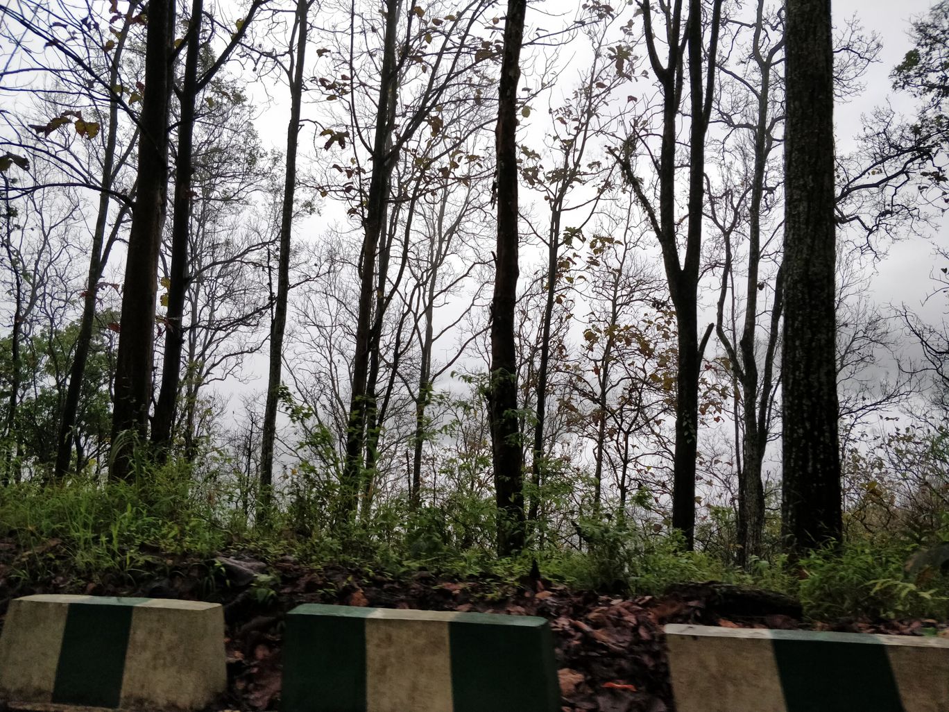 Photo of Northeast Phase 2 - Clouds of Kalimpong By Mahesh Maddala