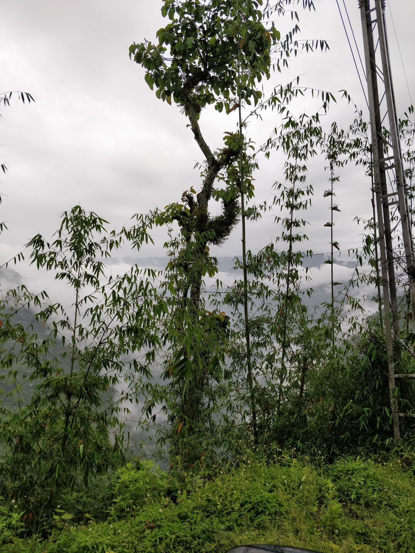 Photo of Northeast Series: Yuksom, West Sikkim By Mahesh Maddala