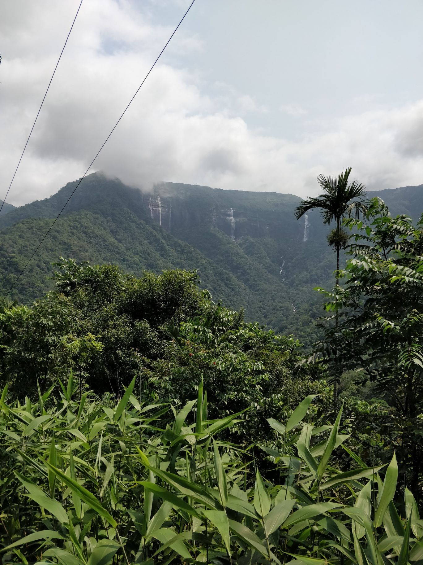 Photo of Northeast Series: The Root Bridges of Cherrapunji By Mahesh Maddala