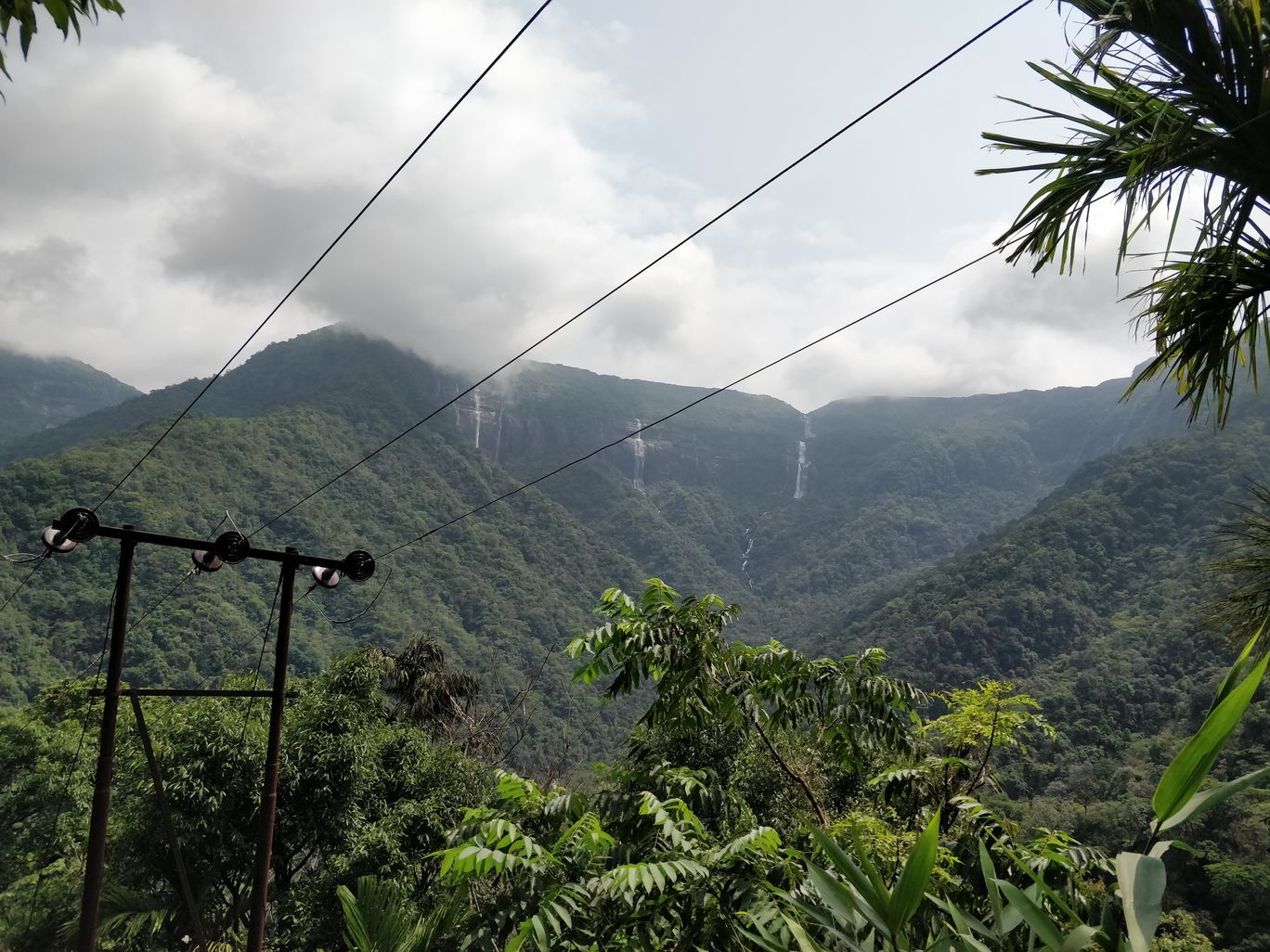 Photo of Northeast Series: The Root Bridges of Cherrapunji By Mahesh Maddala