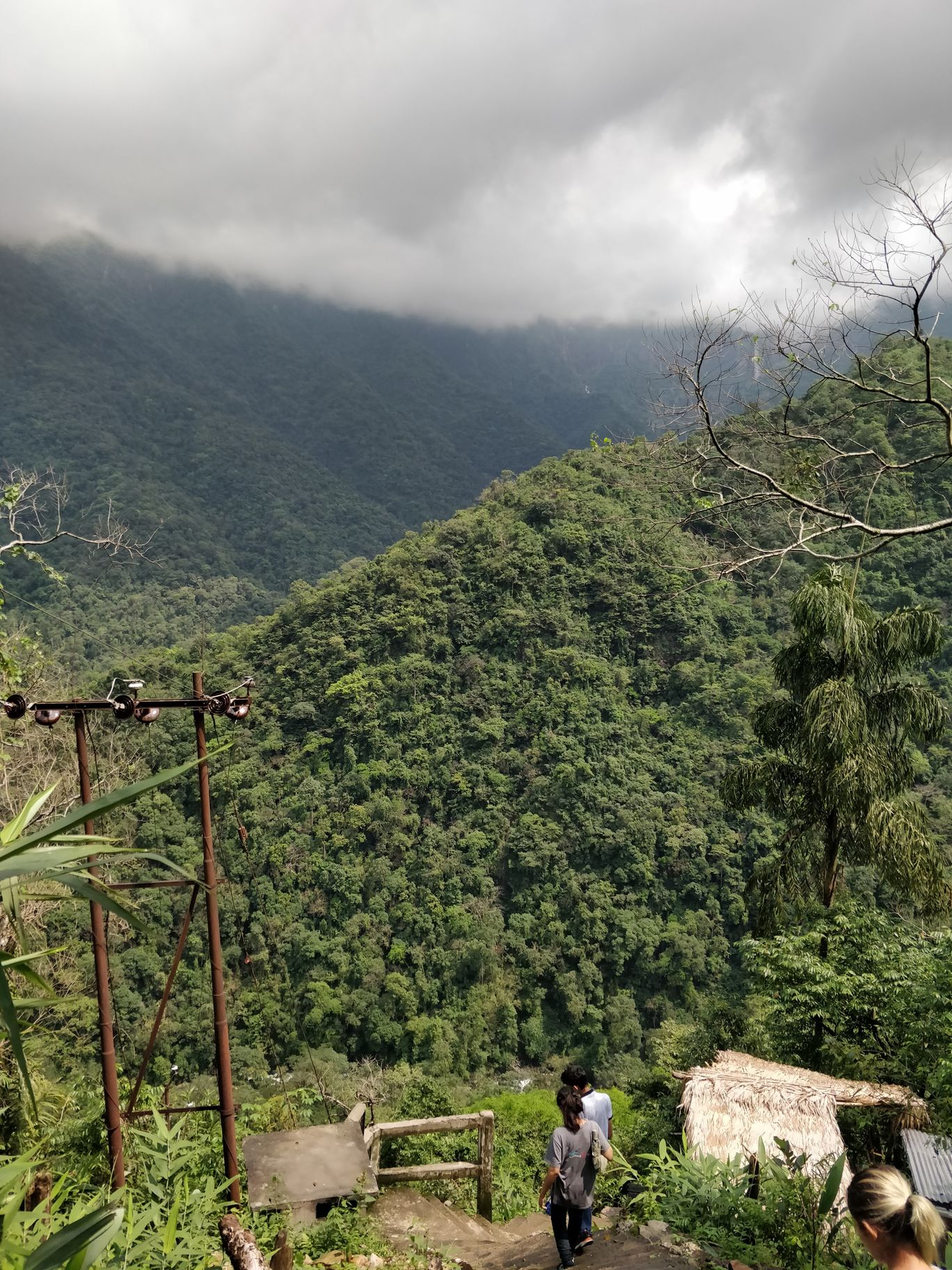 Photo of Northeast Series: The Root Bridges of Cherrapunji By Mahesh Maddala