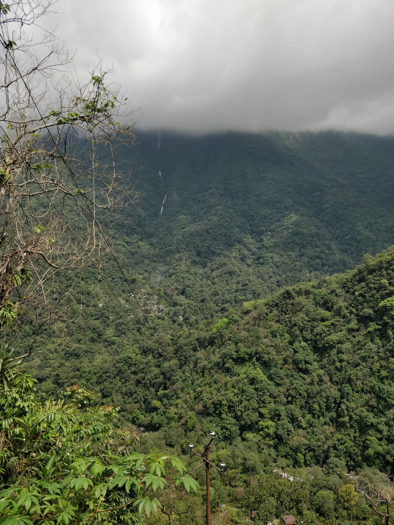 Photo of Northeast Series: The Root Bridges of Cherrapunji By Mahesh Maddala