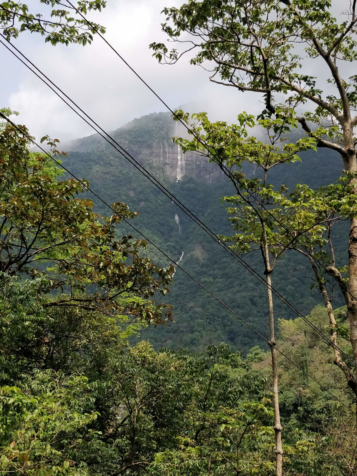 Photo of Northeast Series: The Root Bridges of Cherrapunji By Mahesh Maddala