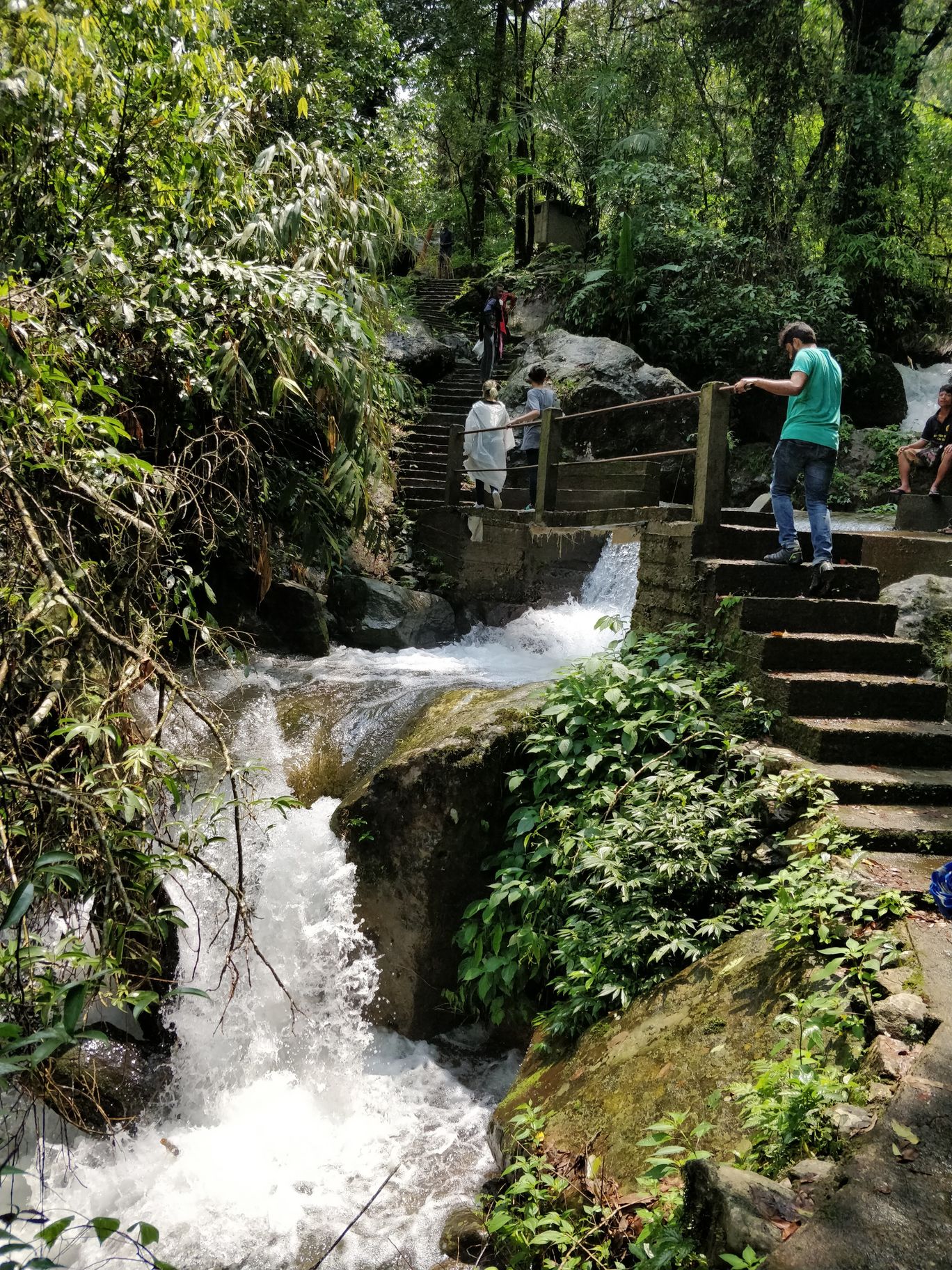 Photo of Northeast Series: The Root Bridges of Cherrapunji By Mahesh Maddala
