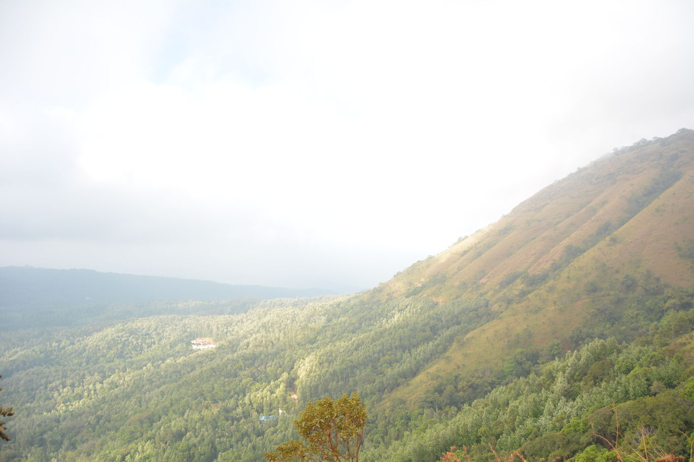 Photo of Western Ghats - Kemmanagundi in Sakleshpur, India By Mahesh Maddala
