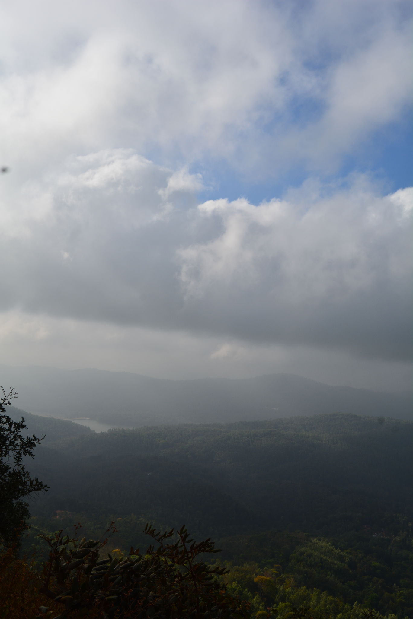 Photo of Western Ghats - Kemmanagundi in Sakleshpur, India By Mahesh Maddala
