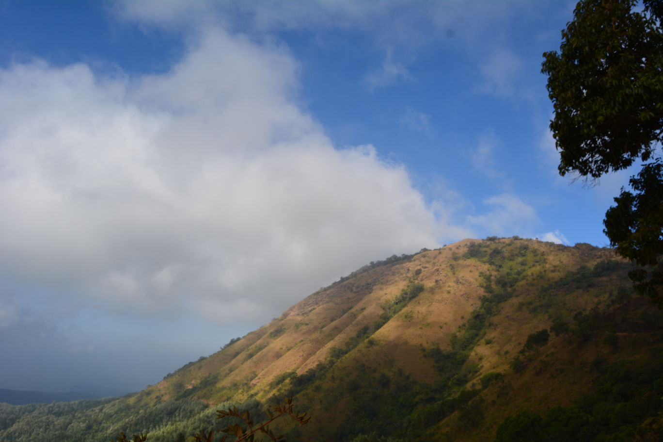 Photo of Western Ghats - Kemmanagundi in Sakleshpur, India By Mahesh Maddala